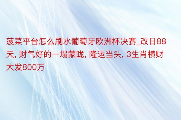 菠菜平台怎么刷水葡萄牙欧洲杯决赛_改日88天, 财气好的一塌蒙眬, 隆运当头, 3生肖横财大发800万
